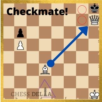 Checkmates - Basics, Rules and Types of Popular Checkmates