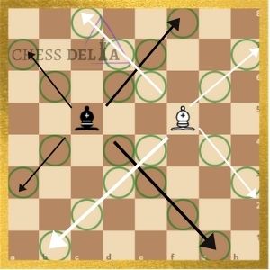 Did you know that bishops move backwards? #chesstips