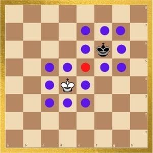 can-a-king-kill-a-king-in-chess