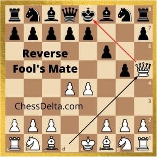 reverse-fool's-mate