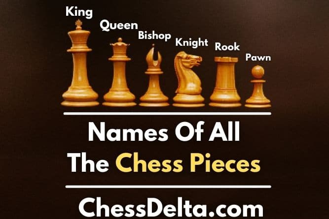 Names Of All The Chess Pieces (With Pictures & Facts) - Chess Delta