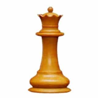 Names Of All The Chess Pieces (With Pictures & Facts)