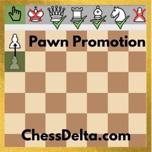 can-pawns-move-backwards-in-chess